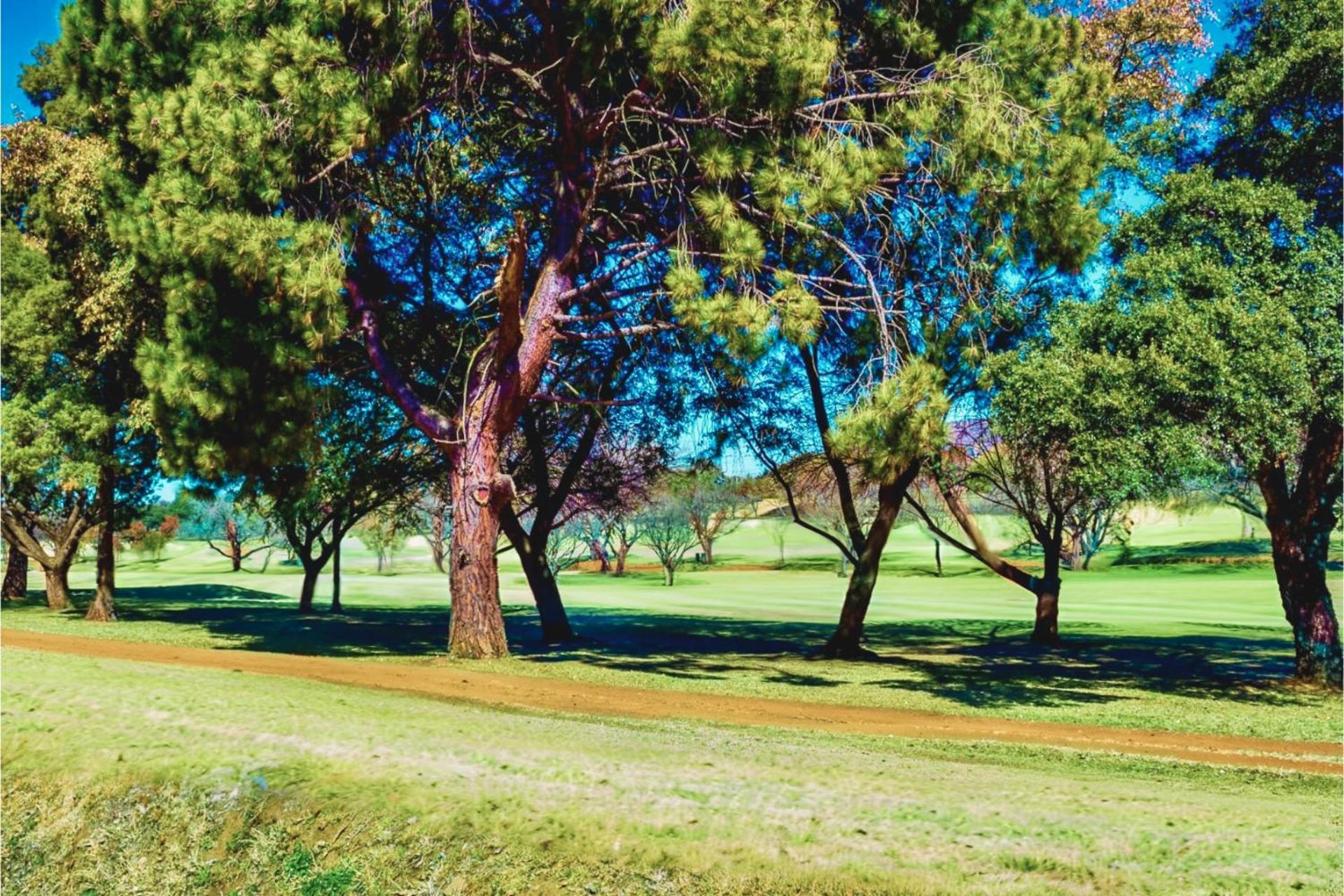 Glendower View Guest House Edenvale Extérieur photo