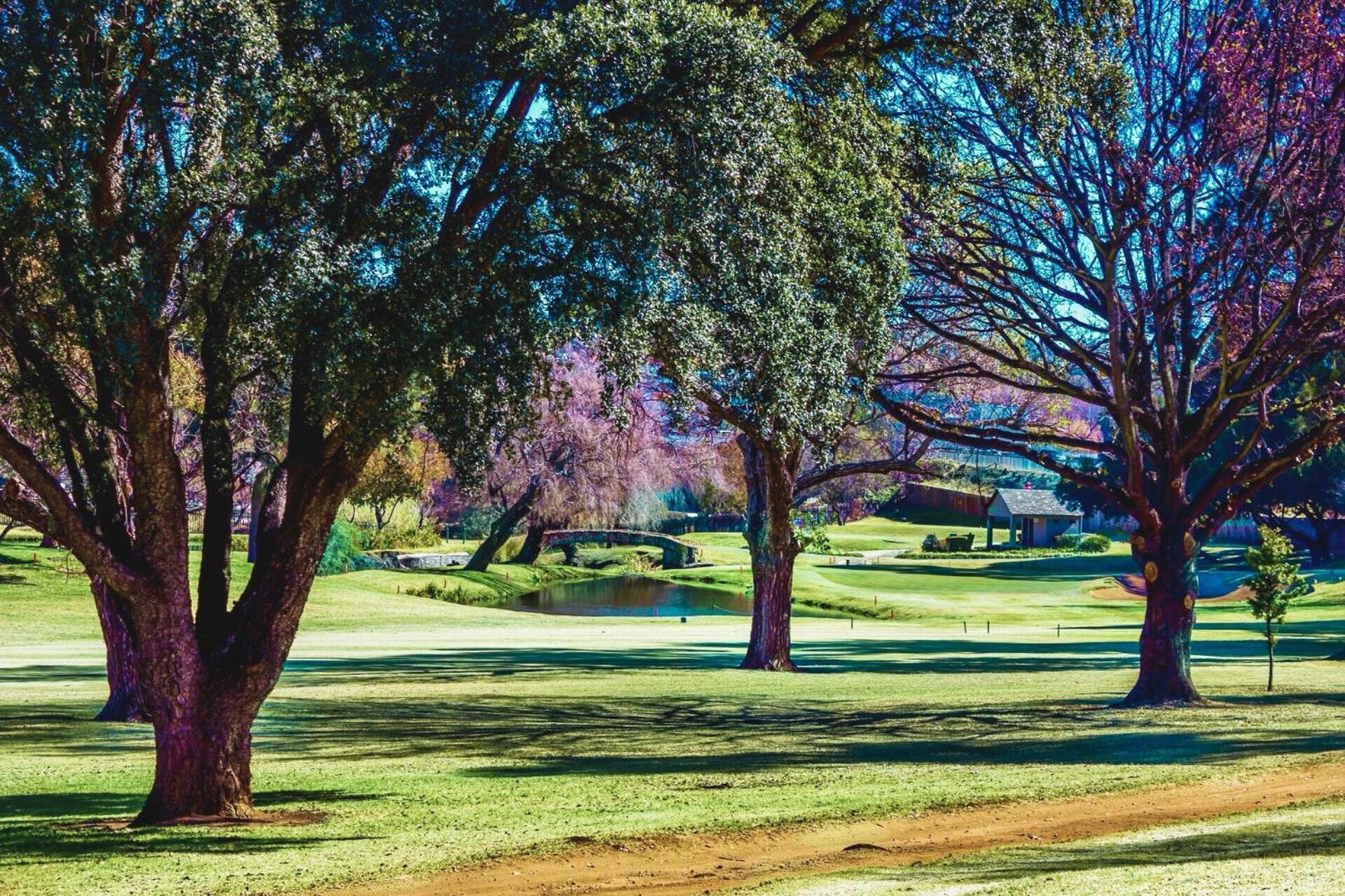 Glendower View Guest House Edenvale Extérieur photo